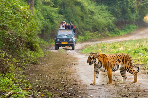 Corbett Tour Package